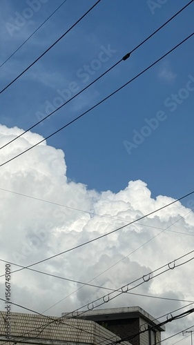 Wallpaper Mural summer sky with electric wire Torontodigital.ca