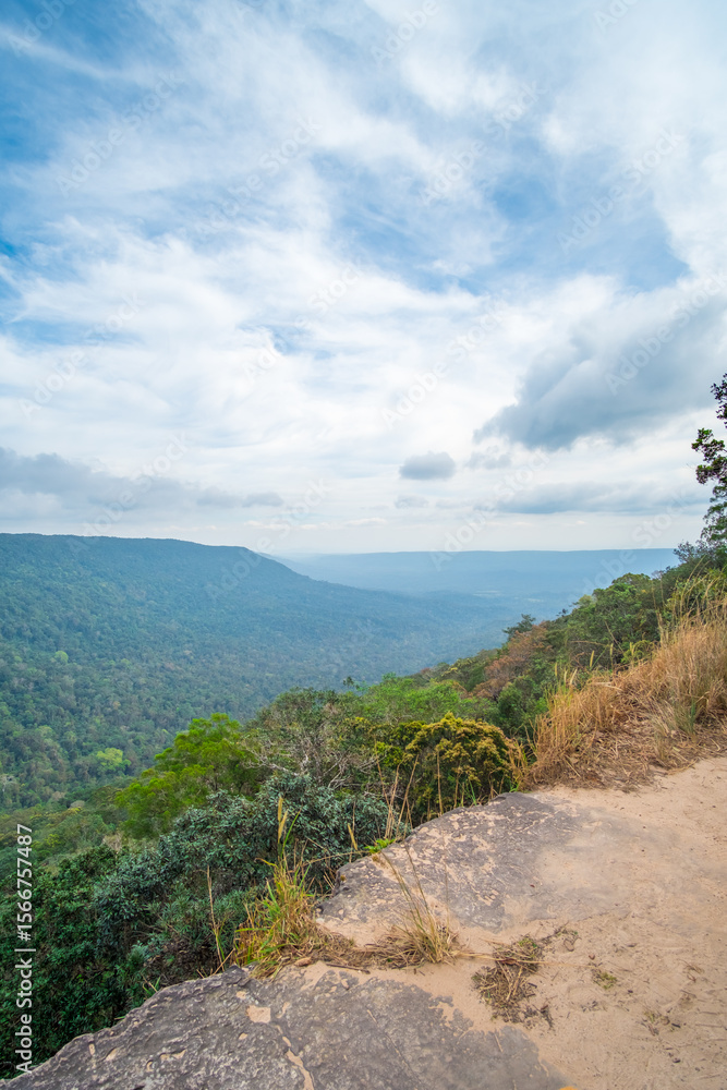 Obraz premium Scenic view, landscape of Khao Yai National Park in Thailand