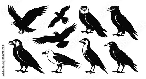 Silhouette collection of various birds in flight and perched positions including owls, hawks, eagles, and crows on white background