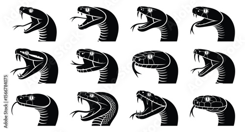Set of twelve detailed black and white vector snake heads in aggressive poses with open mouths, fangs, and tongues in dynamic sketch style