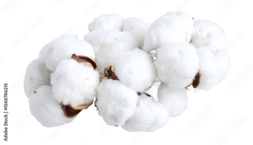 A soft pile of fluffy white cotton bolls against a dark background awaits use in textile projects. A soft pile of fluffy white cotton bolls against a dark background awaits use in textile projects.