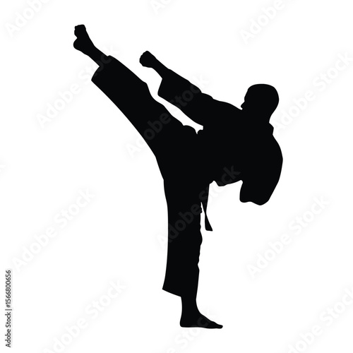 Silhouette of a martial artist performing a high side kick in a karate uniform
