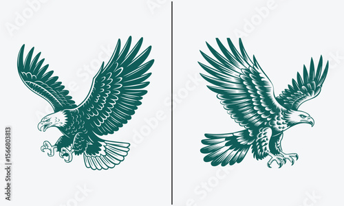 Dynamic Eagle Illustration Pair in Flight with Extended Wings and Claws in Deep Green Tone