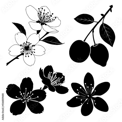 Silhouettes of Fruit Blossoms and Flowers: Apple, Mango, Citrus, Cherry – Simplified Black Vector Icons Isolated on Clean White Background
