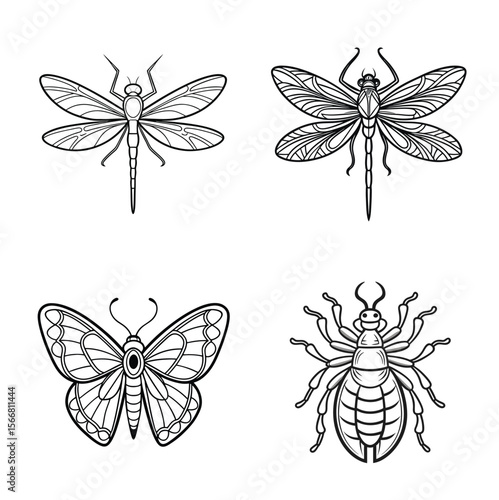 Dragonfly, Dragonfly, Lepidoptera, Lice