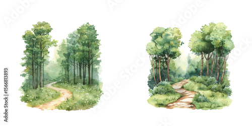 serene forest path watercolor vector illustration