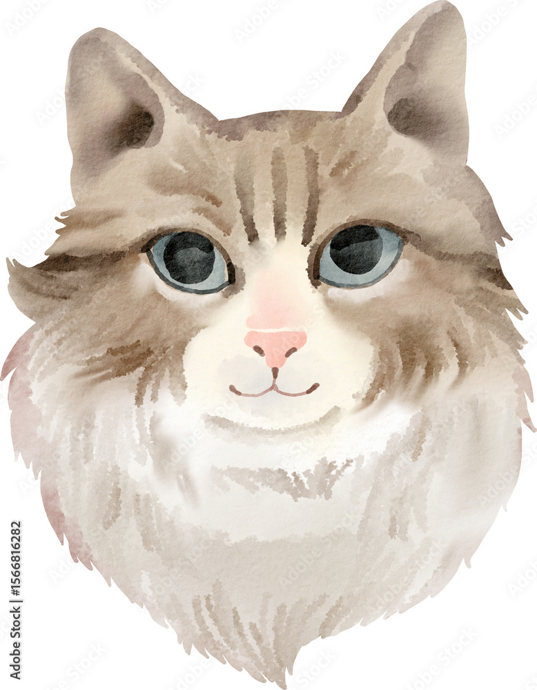 Obraz premium watercolor cat persian