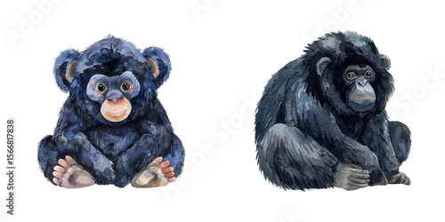 siamang watercolor vector illustration