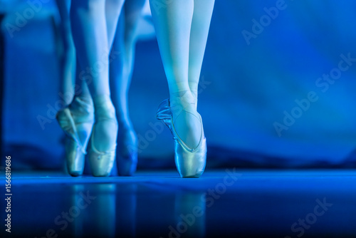 Fototapeta Naklejka Na Ścianę i Meble -  Legs of ballerinas dancing, Swan Lake Ballet - stock photo