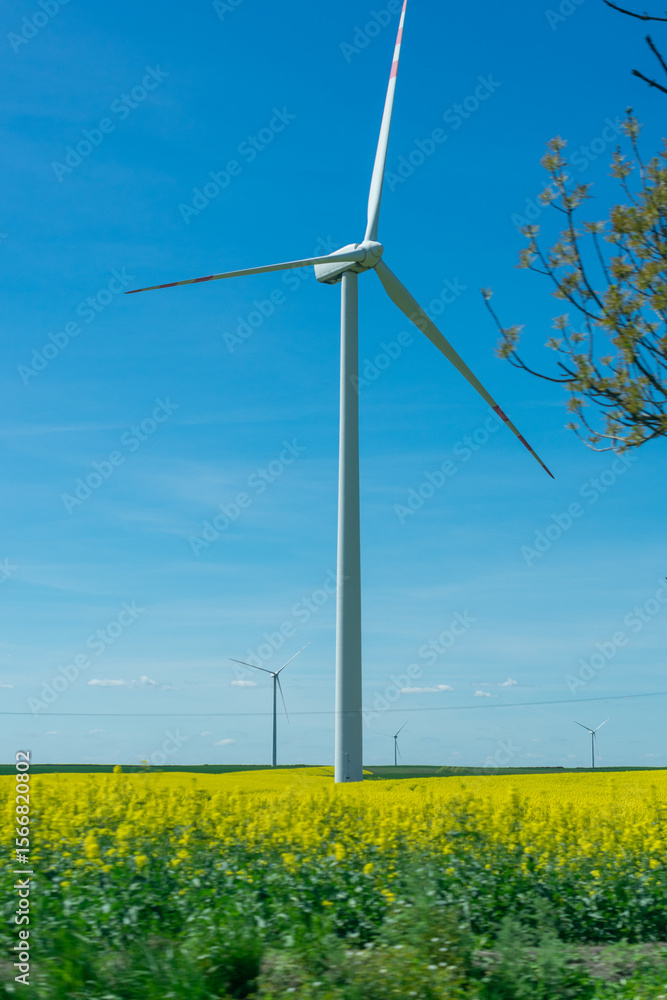 Wind turbine is standing in a field of yellow flowers. There are two other wind turbines in the background. Wind turbine is standing in a field of yellow flowers. There are two other wind turbines in the background.