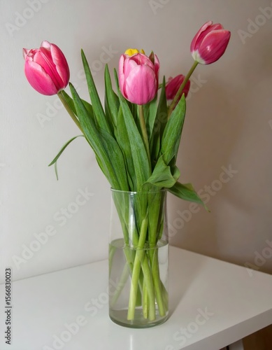 Pink and white tulips in a clear glass vase on a white surface