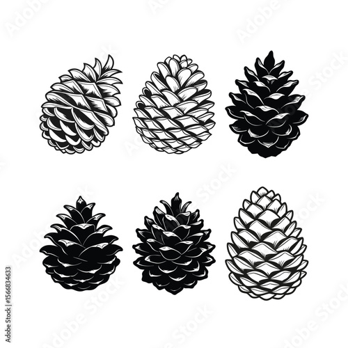 Collection of Pine Cones in Black and White Vector Illustration