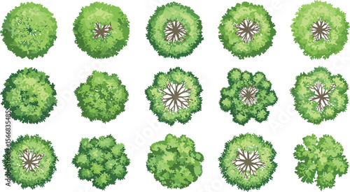 Overhead Landscape Elements, Assorted Deciduous and Evergreen Trees for Architectural Plans, Urban Planning, and Map Design Graphics