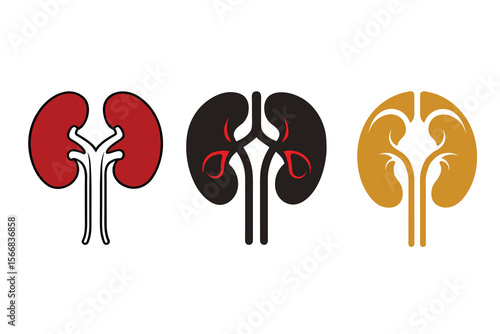 Human Organ Kidney Icon Silhouette Vector, Medical Anatomy Illustration