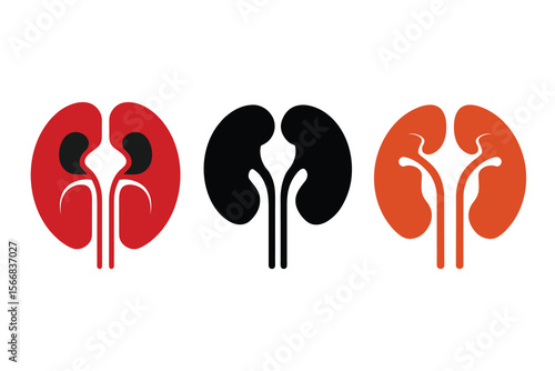 Human Organ Kidney Icon Silhouette Vector, Medical Anatomy Illustration