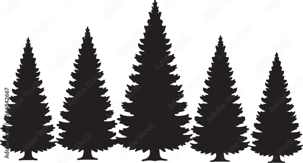 Obraz premium Majestic Evergreen Trees A Silhouetted Forest Scene