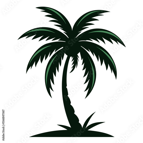 palm tree silhouette