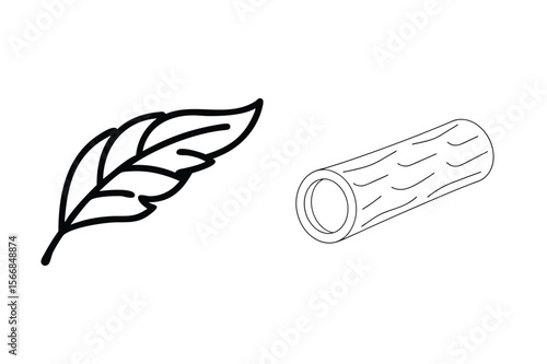 Feather and hollow log quill writing