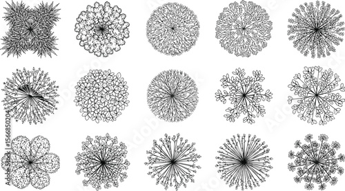  Top view architectural tree and bush symbols for landscape plan designs, CAD drawings, and site layout diagrams, depicting various plant outlines for professional use.