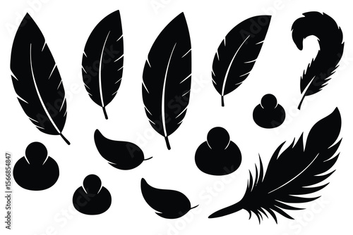 Big set of bird feathers design. fluffy swan. pen icons design soft bird plumage set..eps