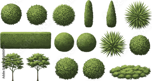 Diverse set of topiary trees, various evergreen shrubs, and garden bush illustrations, perfect for landscape design, architectural plans, and outdoor environment projects.