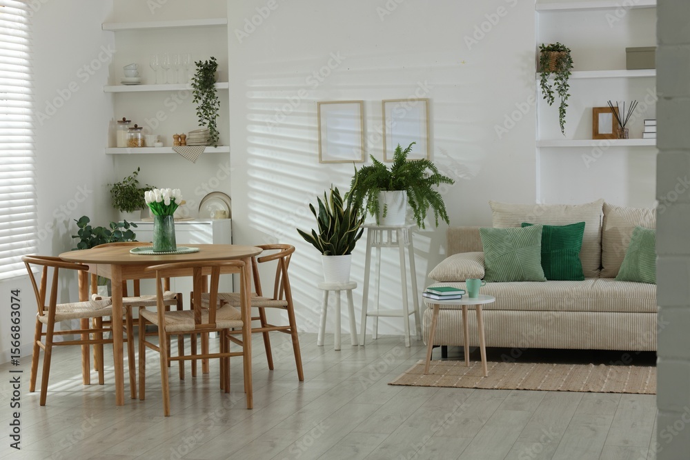 Fototapeta premium Comfortable sofa, table, chairs and green houseplants indoors. Interior design