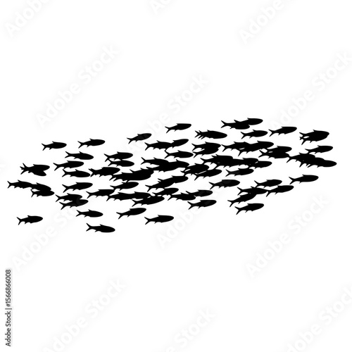 A large school of small fish swimming in unison through the clear ocean water