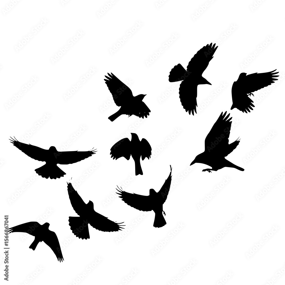 Obraz premium A Flock of Crows Soaring Through the Sky in a Formation
