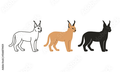 Caracal silhouettes: minimalist outline, full color, shadow variants on white background