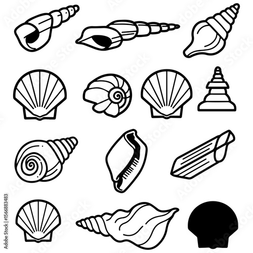 A stylish and sophisticated library of shell icons, designed for the modern graphic artist and designer