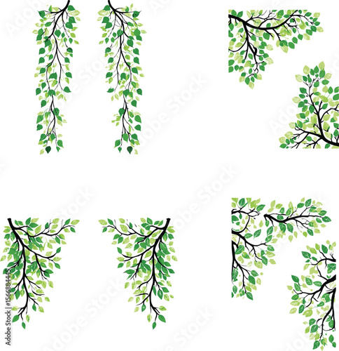 Hanging plants with green leaves