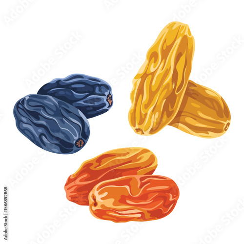 Three types of dried grapes including dark blue golden and orange raisins