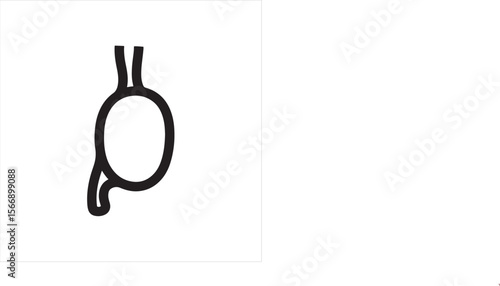 Simple black outline of a human stomach on a white background