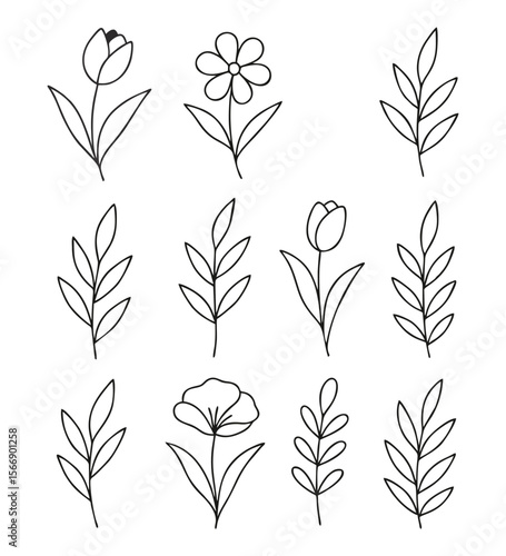 Botanical Line Art Icons — Elegant Minimalist Nature Series, A curated collection of fifteen botanical line art icons featuring diverse floral and leaf motifs — crafted in minimalist style and arrange