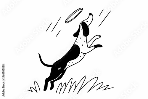 Dog leaping to catch frisbee jumping catching