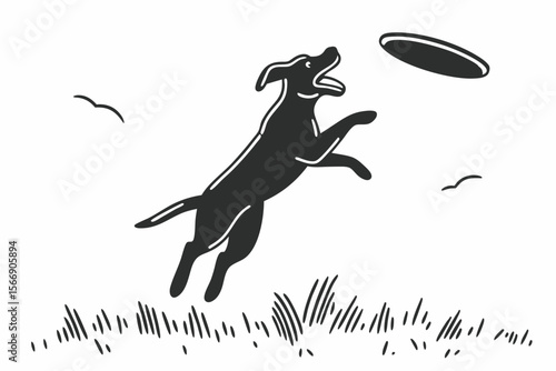 Dog leaping for frisbee in grass jumping catching
