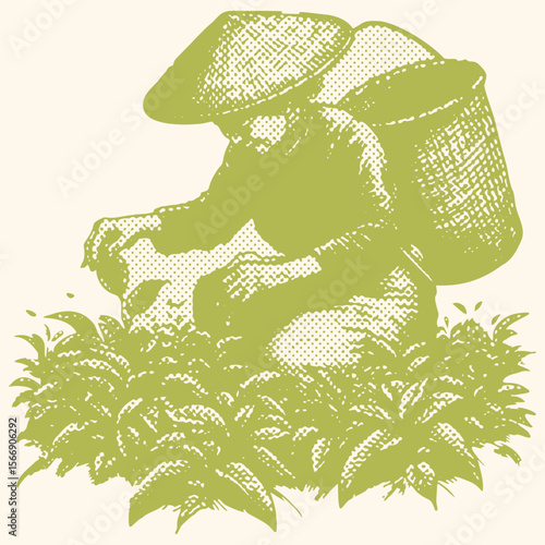 Halftone effect vector illustration of elderly woman harvesting tea leaves in green tone, vintage postal stamp style design, agricultural farming, nature, rural life, hand picking leaves