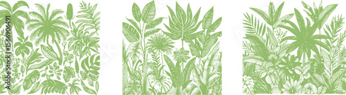 Green Exotic Leaves and Jungle Plants Vector Bundle with Hash Circle Line Effect, Tropical Botanical Illustration, Nature Elements, Decorative Floral Design for Print and Digital Use