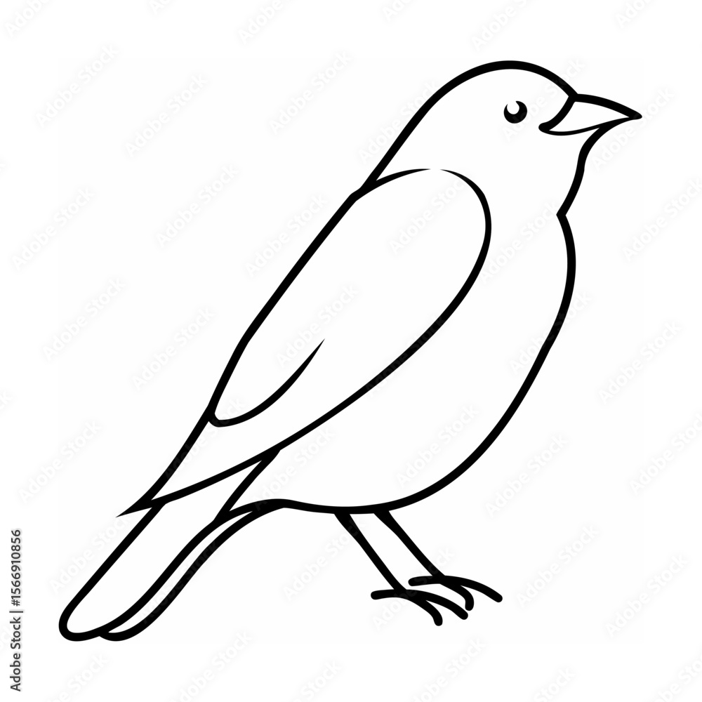 Obraz premium Black outline bird illustration on white background