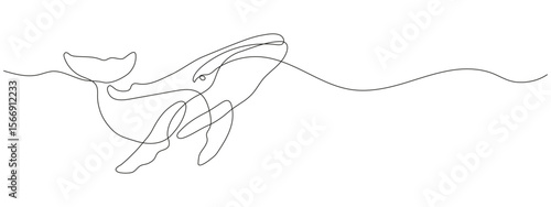 Continuous one line drawing of a whale. Minimalist humpback whale illustration in linear style. Hand drawn vector outline of ocean animal. Simple marine life line art.