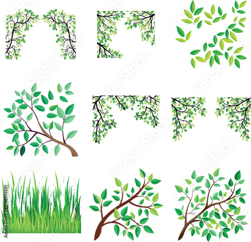 vector tree branch with green hanging leaves
