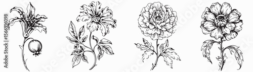 Black flower vector set feature abstract floral design silhouettes, and geometric patterns. Ideal for decoration, logos, and design projects. Includes minimalist botanical elements for creative illust