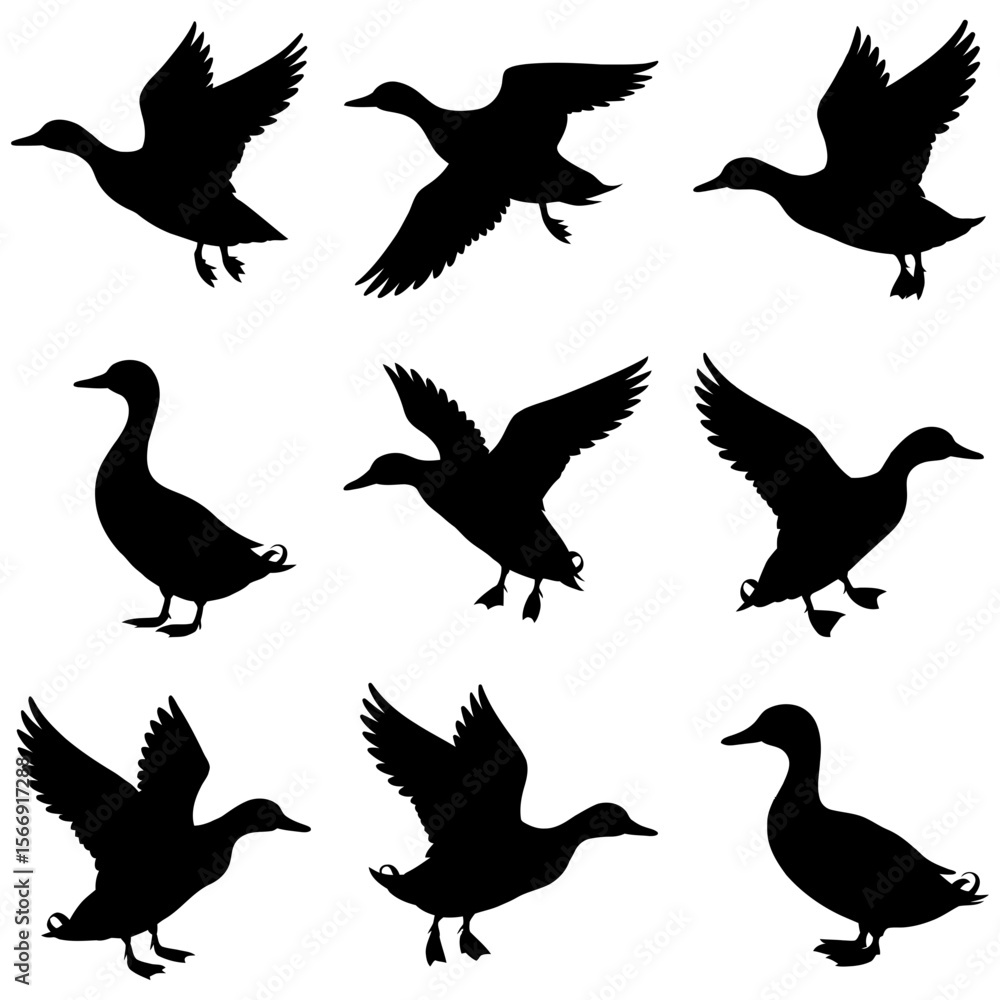 Obraz premium Silhouette depiction of ducks in various positions