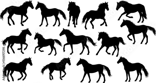 vector silhouettes of horses
