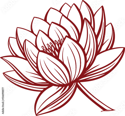 Elegant Lotus Flower Line Art Illustration