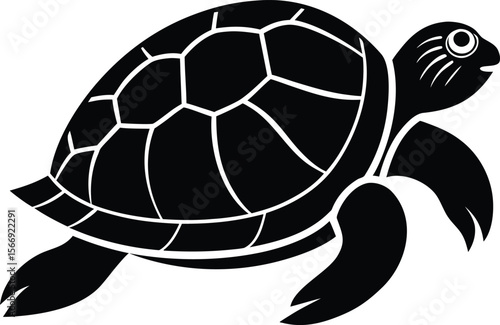 turtle on white background.eps