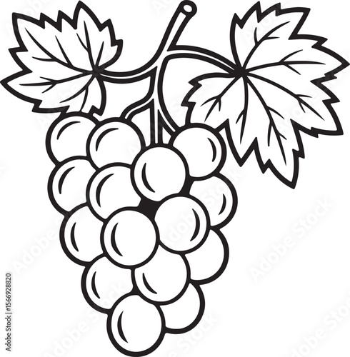 Line Art Illustration of a Bunch of Grapes with Leaves