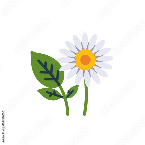 White Daisy Flower Illustration-Cute Floral Design with Green Leaves-Spring Flower Clipart-Botanical Artwork for Nature Lovers-Floral Graphic Element