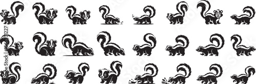 Black and white skunk illustrations animal cartoon