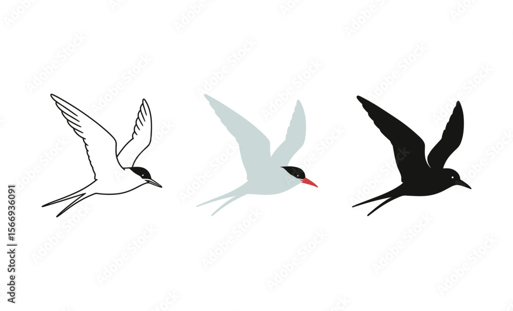 Fototapeta premium Three stylized flying birds with minimalist design in black and white variations